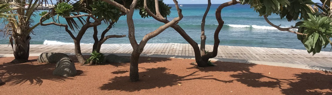 Revêtement drainant