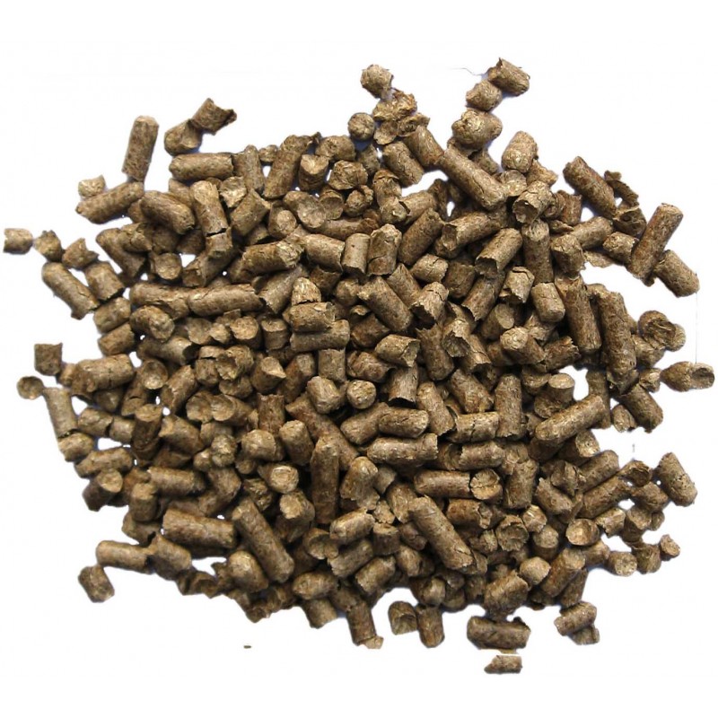 [PF_PAILLEO] Pailleo